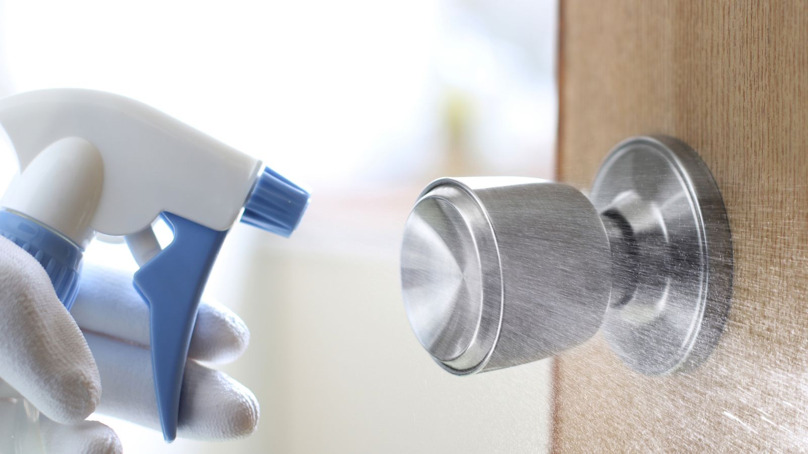 Frequently touched domestic door handle